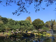 -杭州植物园