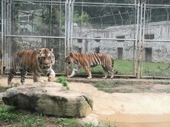 -黔灵山公园-南门售票处