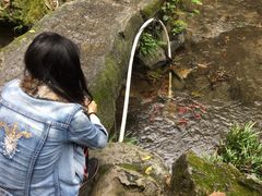 -桂林古东瀑布景区