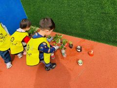 -狮子妈妈托育早教幼儿园(岳麓店)