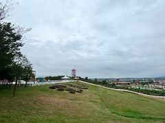-莱阳濯村樱花园
