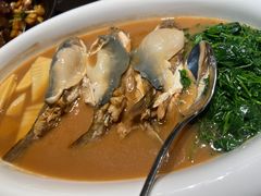 -沈灶河豚宴·河豚融合餐厅(汉中路店)