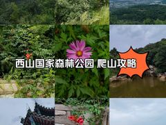 -北京西山国家森林公园