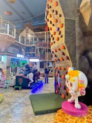 -卡通尼·Safari非洲探索乐园·生日会(金桥国际商业广场店)