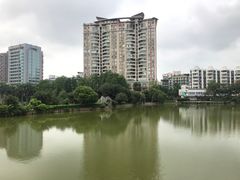 -四海公园(南山区)