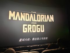 -SFC上影影城(港汇永华IMAX激光店)