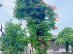 -西安关中民俗艺术博物院