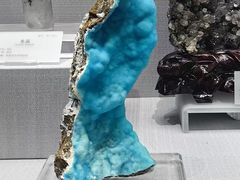 -湖南省地质博物馆