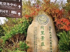 -同里国家湿地公园