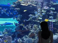 -左海海底世界