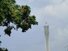 -广州都市观光巴士(粤陶巴)