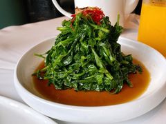 南京菊花脑-民国红公馆·秦淮八艳(夫子庙店)