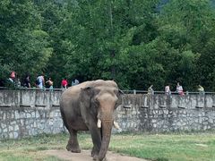 -西安秦岭野生动物园