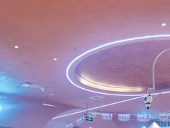 -阿娜尔·新疆菜(宜家荟聚中心店)