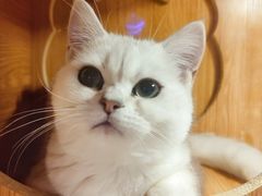 -Pets First伊珊娜洗护·精致美容·家庭式寄养(新会路店)