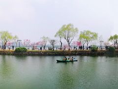 -无锡蠡湖国家湿地公园-蠡园
