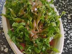 -油梨树AVOCADO TREE(顺义新国展店)