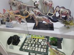 -斯坦星球青少儿编程机器人科学思维专注力科创竞赛规划(兰岛学习中心)