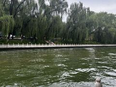 -南长河公园