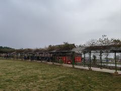 -盈香心动乐园