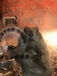 -酷嗒动物文化乐园(cutezoo西溪乐天城店)