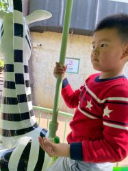 点击看大图 -宝燕乐园(闵行旗舰店)