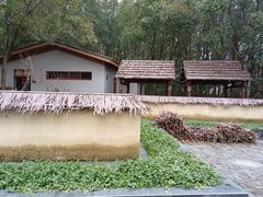 -同里国家湿地公园