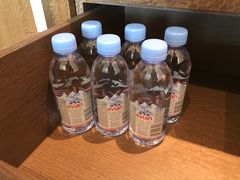-新加坡圣淘沙名胜世界迈克尔酒店