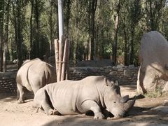 -北京野生动物园