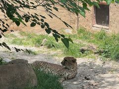 -上海野生动物园