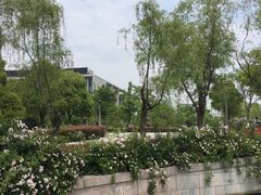 -尚贤河湿地