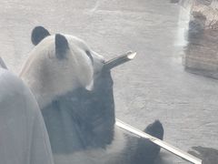 -石家庄市动物园