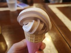 冰淇淋-浦鸿会尚莊亲子餐厅(碧云店)