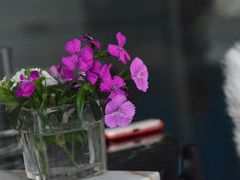 -the rug 飞毯 (朝阳公园店)
