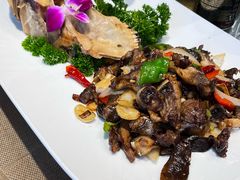 -新疆巴州金丝特餐厅(大钟寺店)