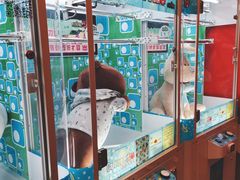 -PAWTOY爪e玩偶店(天兴罗斯福店)