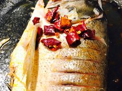 -销魂美蛙鱼头火锅(上海首店)