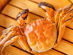 -乡乐园蟹庄·阳澄湖农家乐