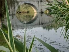 -眉山湿地公园(东坡区)