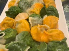 彩皮饺子-宝源饺子(麦子店街店)