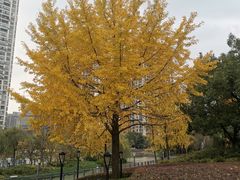 -苏州河梦清园环保主题公园