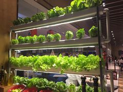 -新食谱全日制餐厅·苏州苏州湾艾美酒店