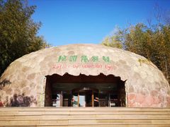 -中国西峡恐龙遗迹园