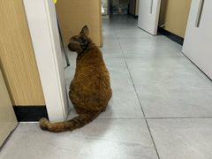 -瑞派蒂凯宠物医院·免疫点·宠保定点