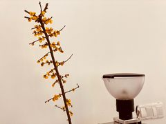 -Onirii Coffee(长乐路店)