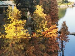 -广州市帽峰山景区