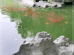-柳侯公园