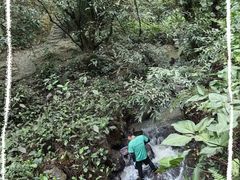 -滴水岩森林公园
