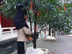 -丹江大观苑