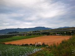 -光明小镇欢乐田园